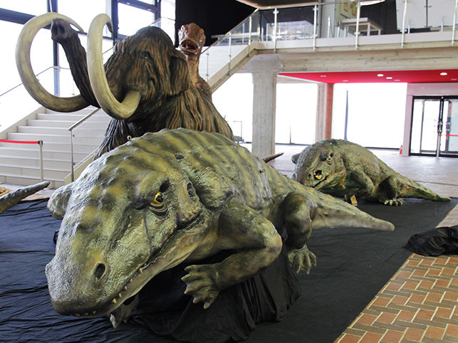 太陽の塔内にある「生命の樹」のマンモスなど大型生物模型を一部公開しました